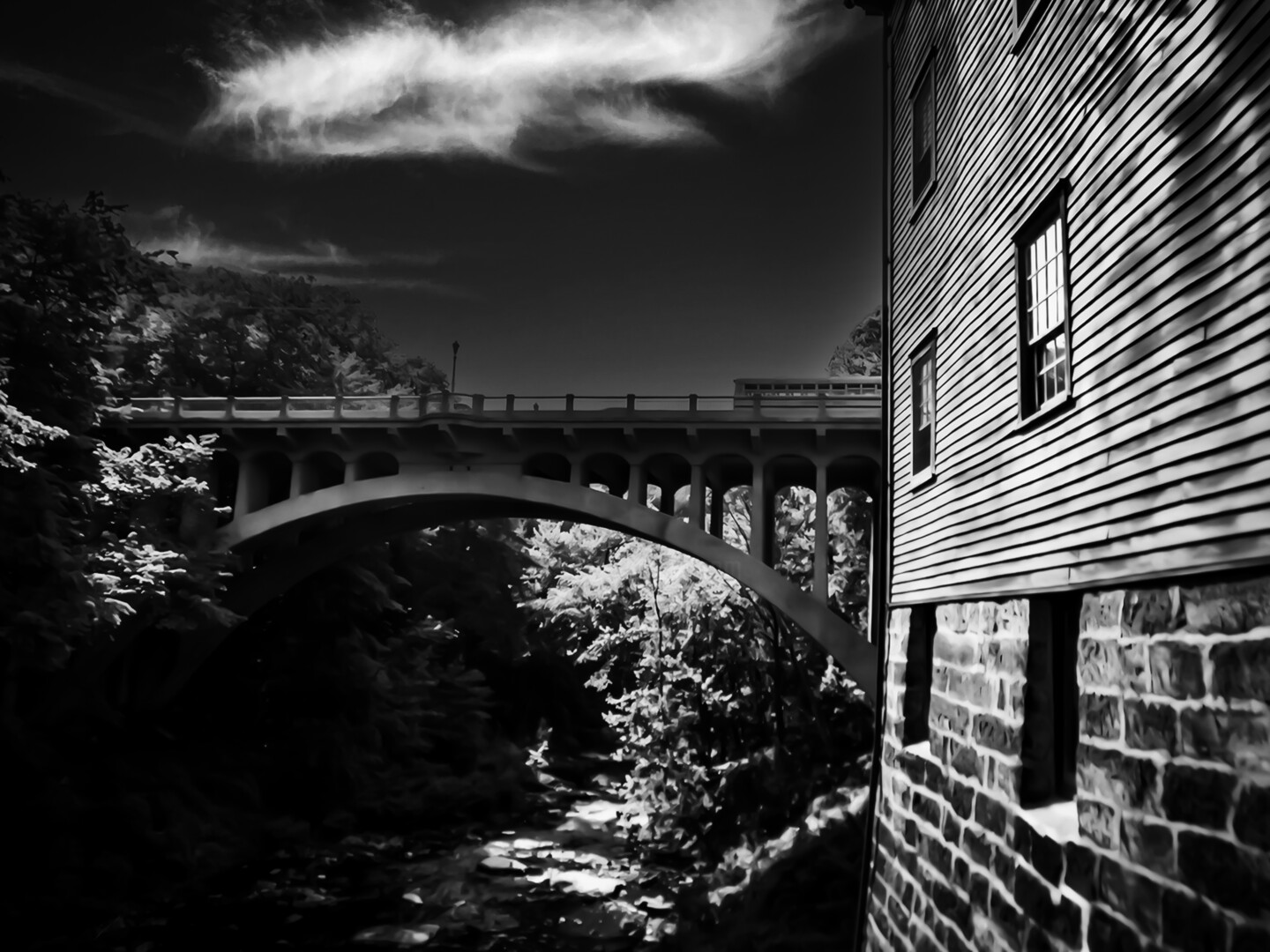 Black Rhino Artwork - Mill Creek Bridge